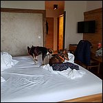 Bergfried010.jpg