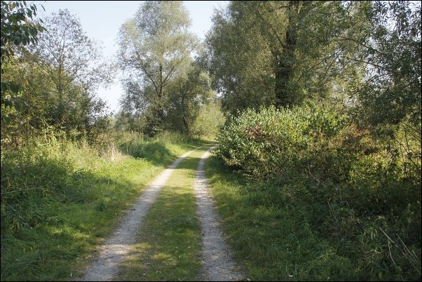 Moldan031.jpg