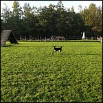 Moldan014.jpg