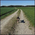 Moldan020.jpg