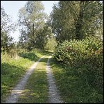 Moldan031.jpg