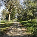 Moldan037.jpg