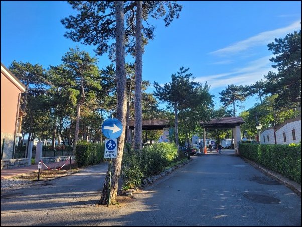 PinetaMare22013.jpg