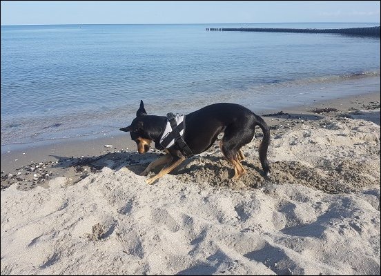Spiaggia004.jpg