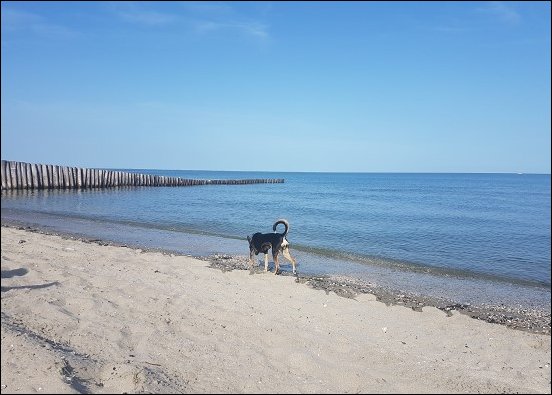 Spiaggia005.jpg
