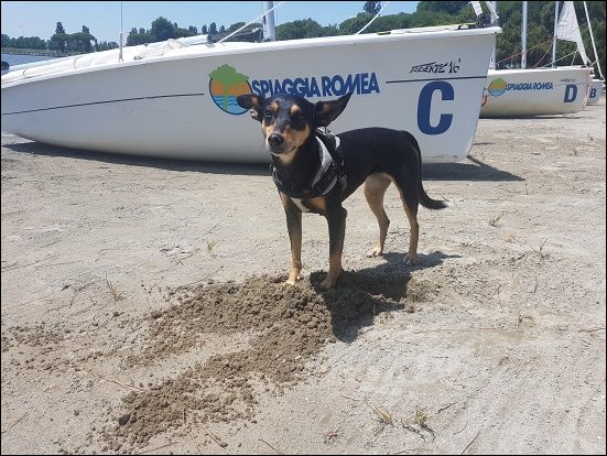 Spiaggia013.jpg