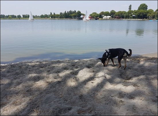 Spiaggia021.jpg
