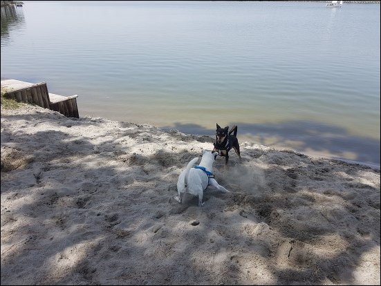Spiaggia022.jpg