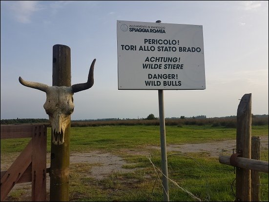 Spiaggia028.jpg
