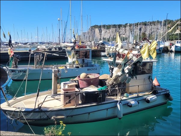 Triest22058.jpg