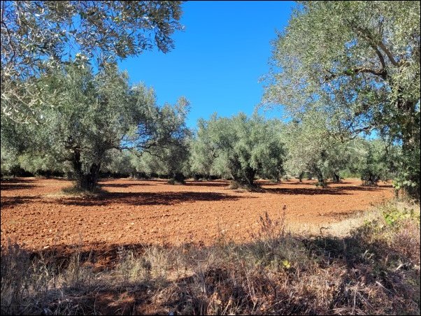 Kroatien22015.jpg