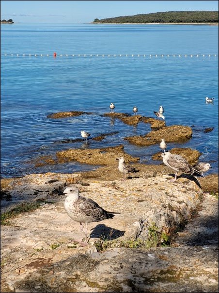 Kroatien22059.jpg