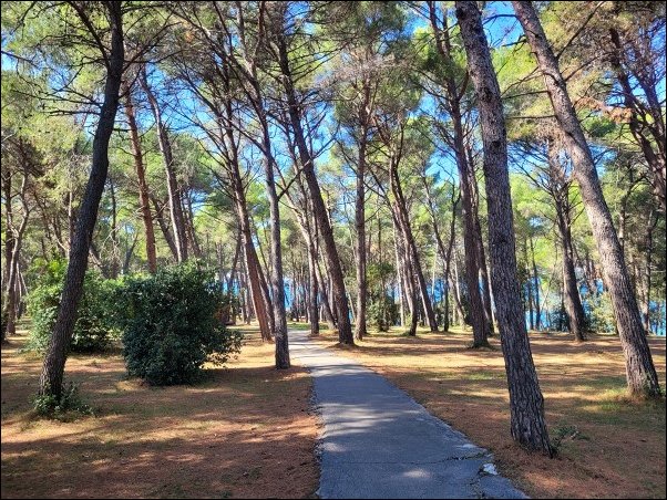 Kroatien22125.jpg