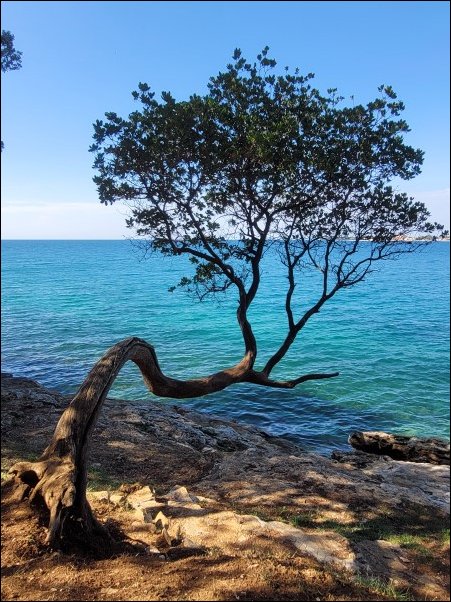 Kroatien22134.jpg
