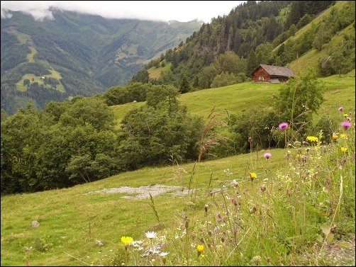 Rauris014.jpg